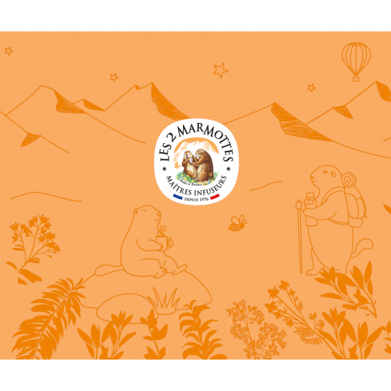 Détail des illustrations de la gourde orange des marmottes, pour tisanes et thés