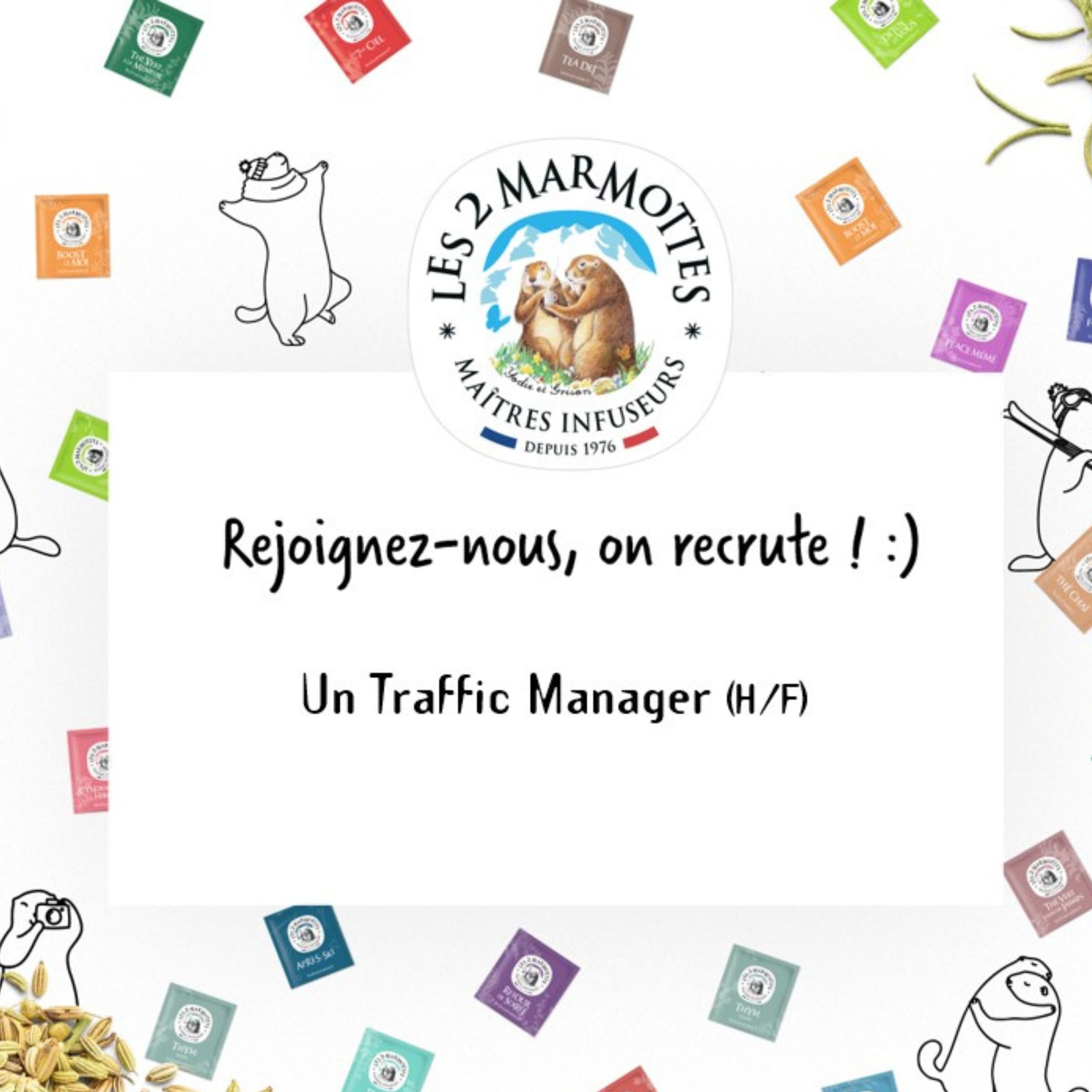 Les marmottes recrutent une(e) traffic manager